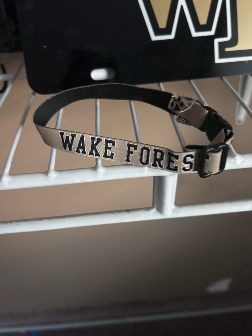 Wake Forest Adjustable dog collar in Black and Gold